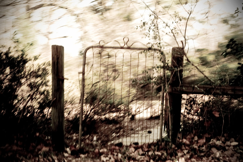 God in the Yard Gate by Kelly Sauer
