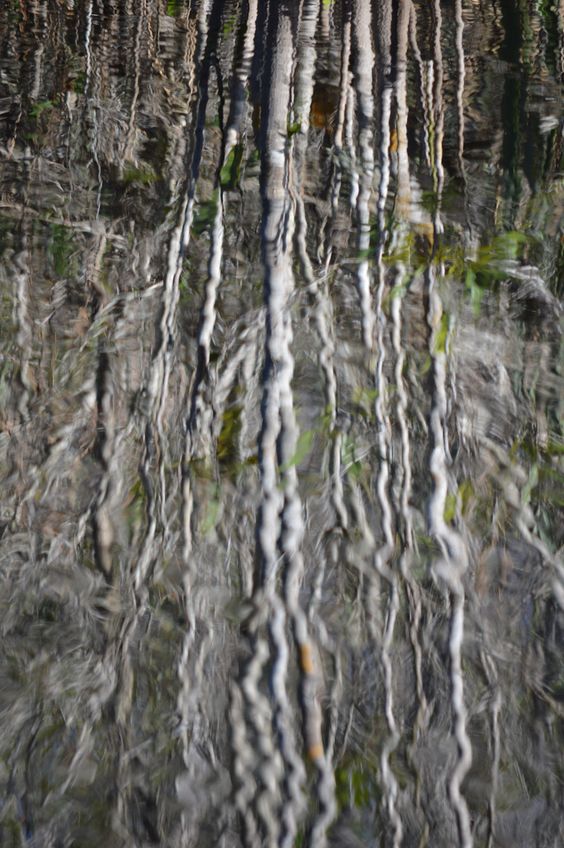 Richard's Reflections