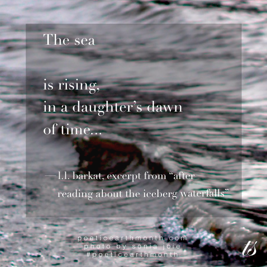The Sea is Rising
