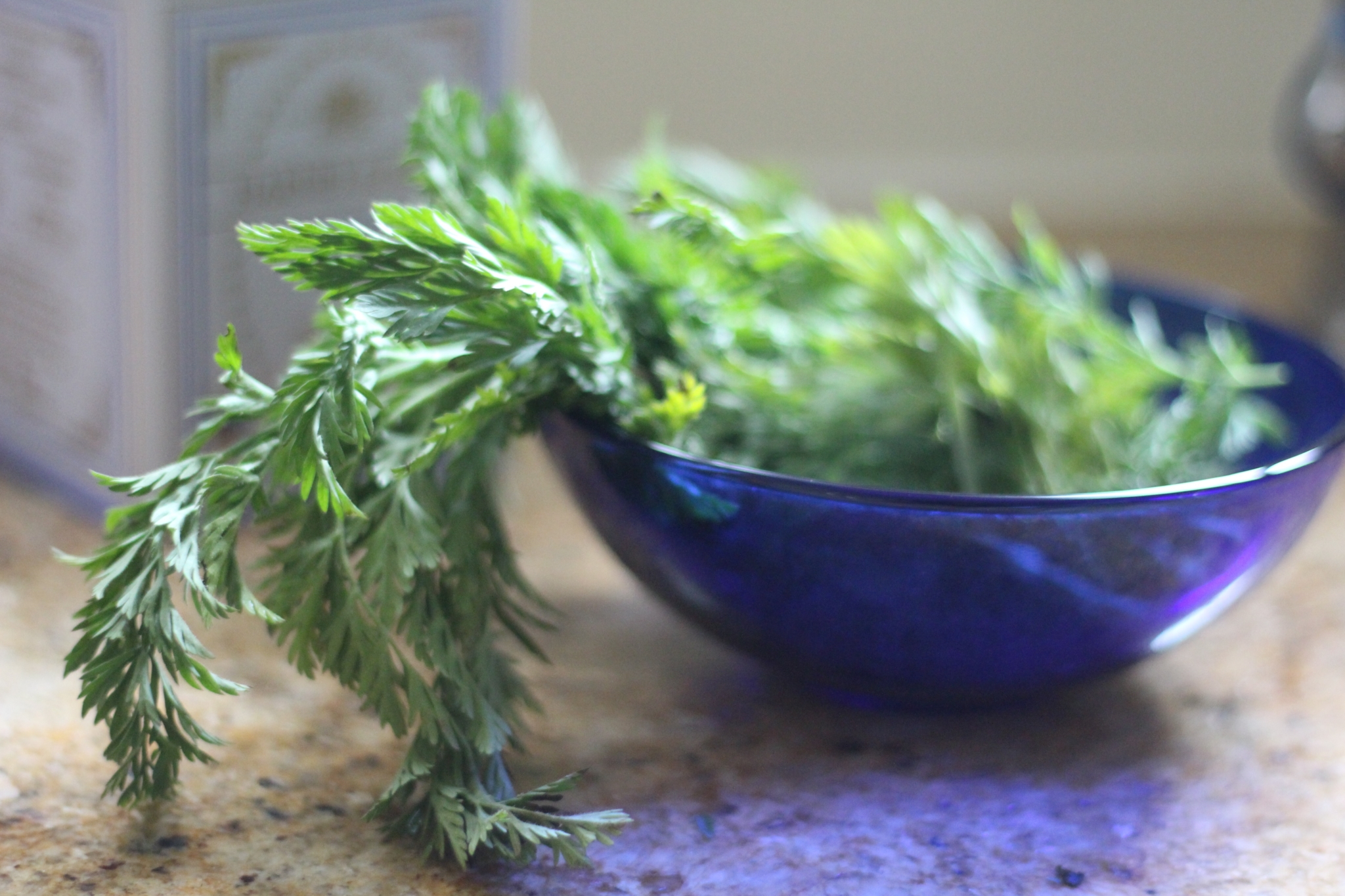 Just the Carrot Tops